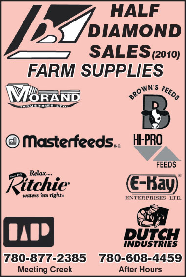 Half diamond sales discount